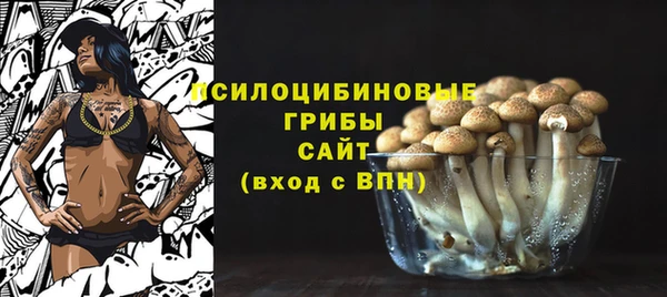гашик Беломорск