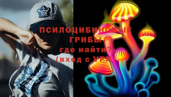гашик Беломорск