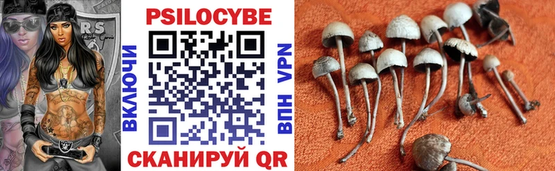 Галлюциногенные грибы Psilocybine cubensis  наркошоп  Валуйки 