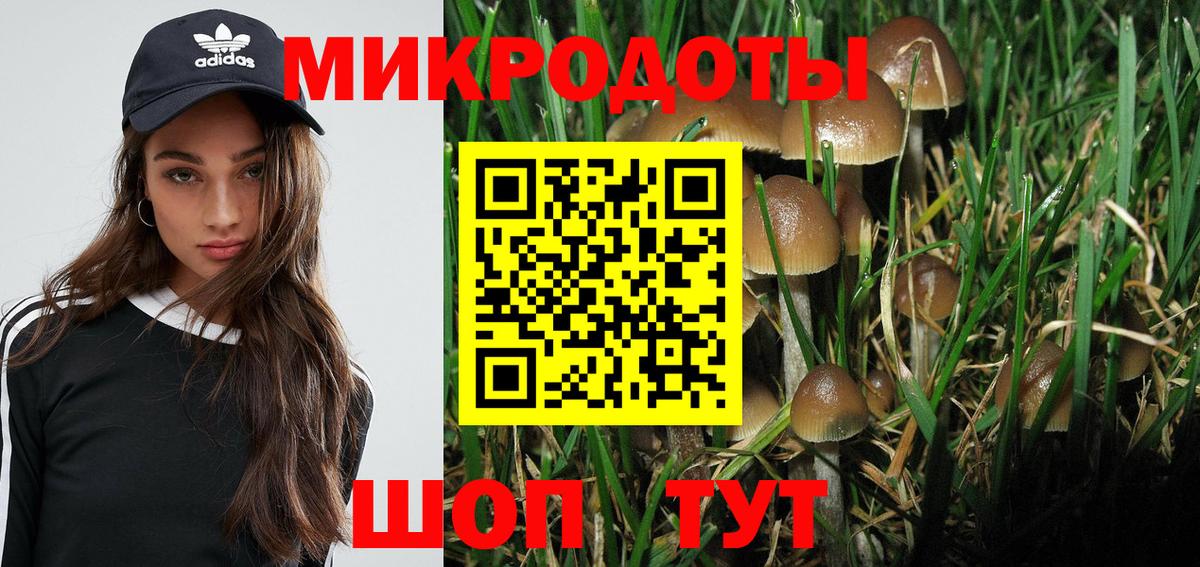 как найти наркотики  Вход с VPN  Валуйки  Псилоцибиновые грибы мухоморы 